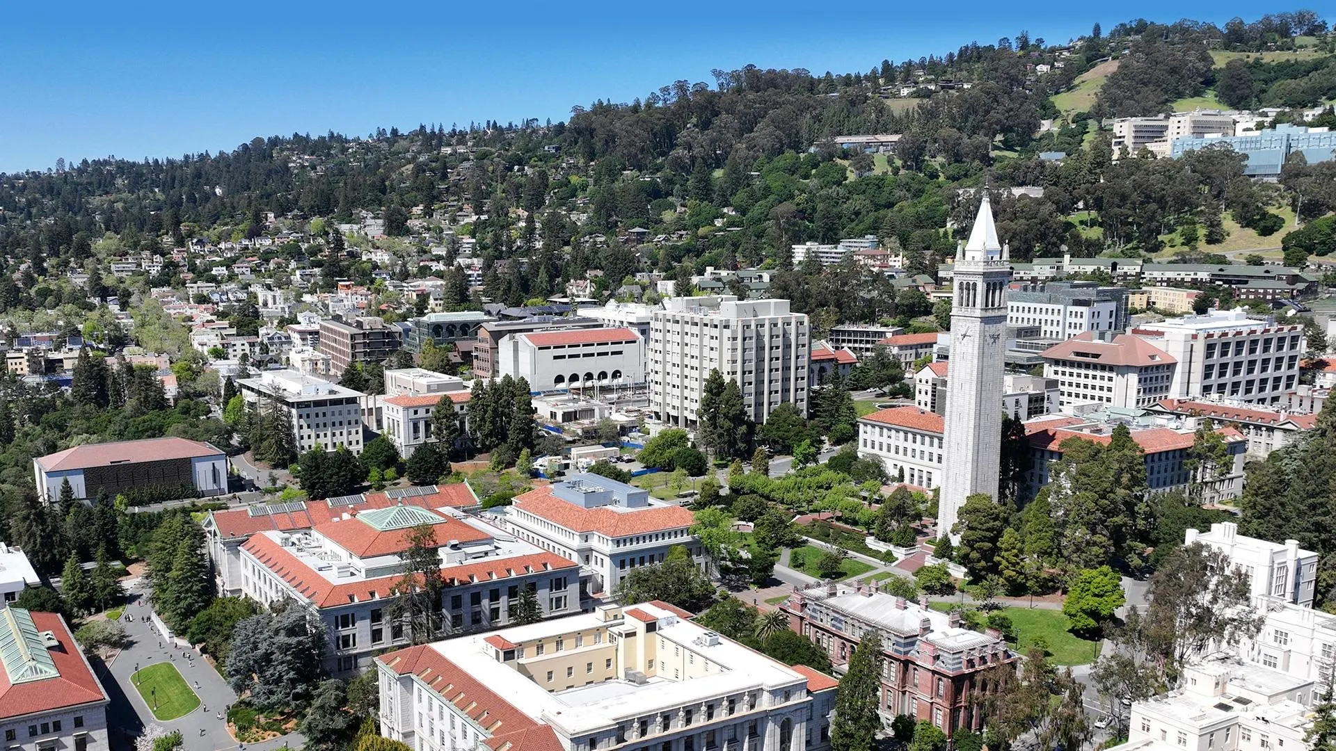 Unlocking the Forbes College Rankings: Your Guide to the Top Schools