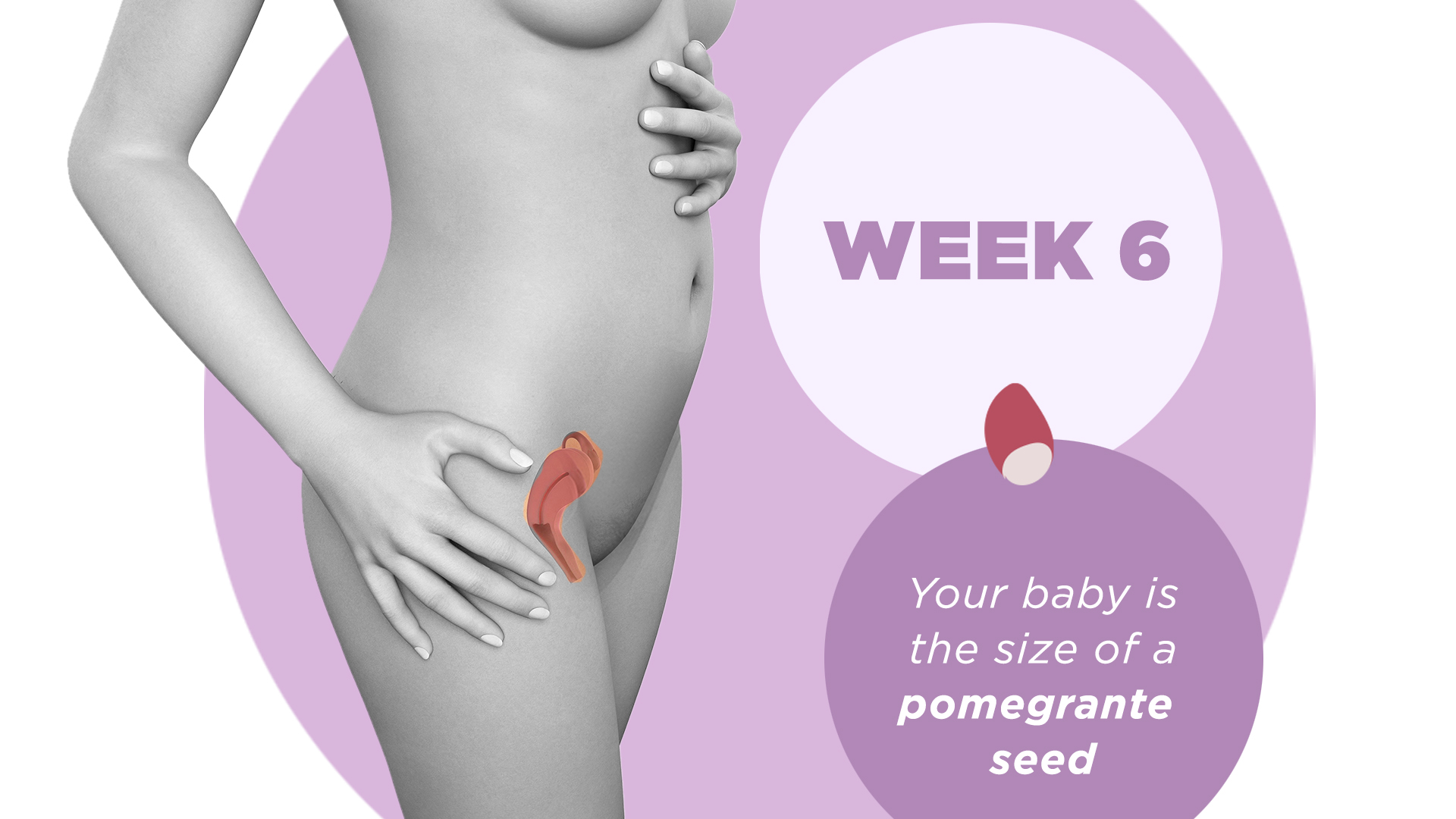 What Will Happen 6 Weeks From Today? A Guide to Planning