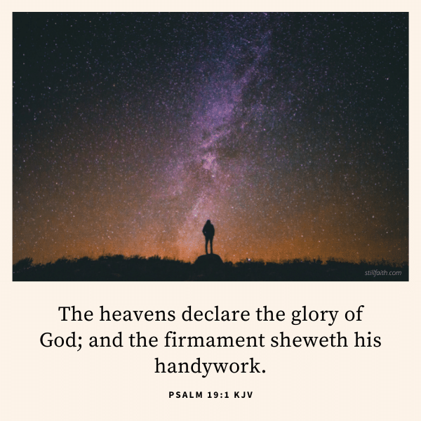 Bible Verses About Beauty: Finding True Worth