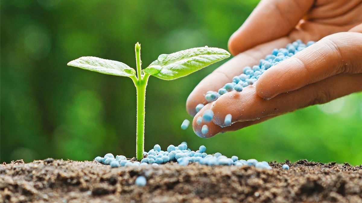 The Ultimate Guide to Launching a Successful Fertilizer Startup