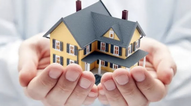 Pigeimmo: Your Ultimate Guide to Real Estate Prospecting