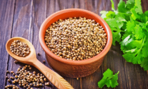 Koriandri: Your Ultimate Guide to This Versatile Herb